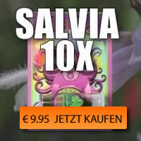 Buy Salvia extract 10X